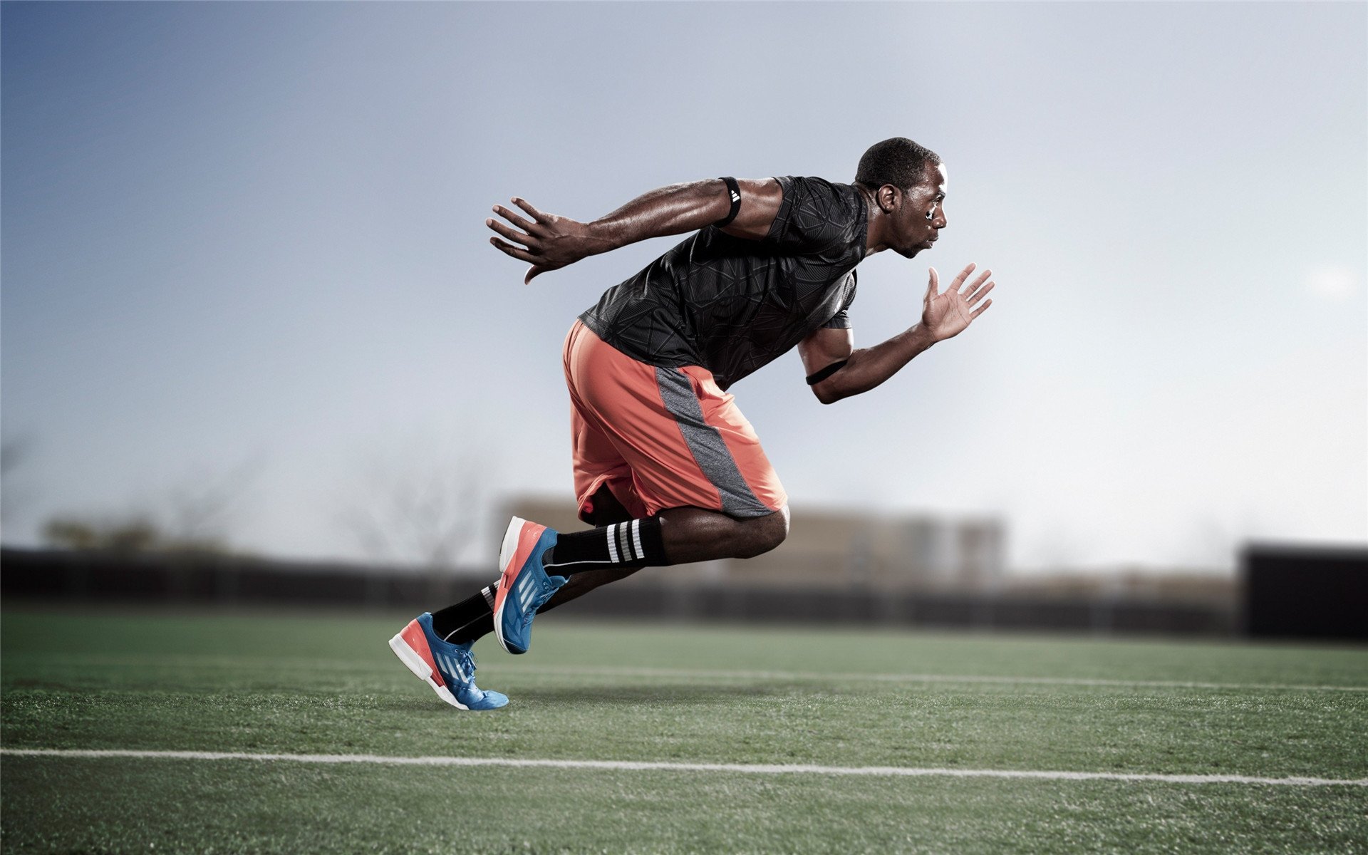 综合格斗赛场焦点！澳大利亚队对阵德国队，球星闪耀，全场焦点无人能挡