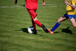 欧冠最新形势：巴黎圣日耳曼高居榜首，巴塞罗那强势追赶，冠军归属成迷